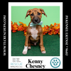 adoptable Dog in  named Kenny Chesney (Country Singers) 090724