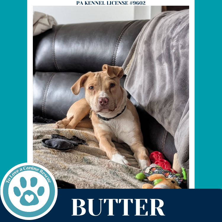 Butter (The Baking Bunch) 080925