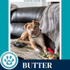 Butter (The Baking Bunch) 080925 - Photo 1