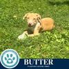 Butter (The Baking Bunch) 080925 - Photo 3