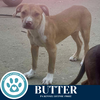 Butter (The Baking Bunch) 080925 - Photo 4