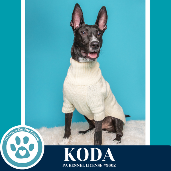 Koda 101125