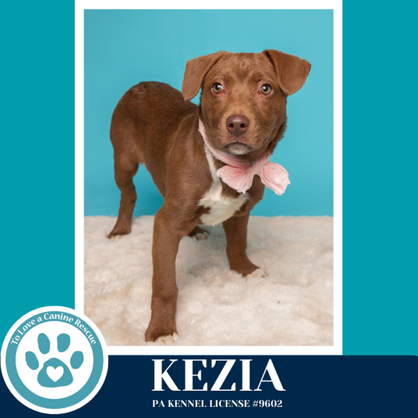 Kezia (Anabelle-Solomon Pup) 020726