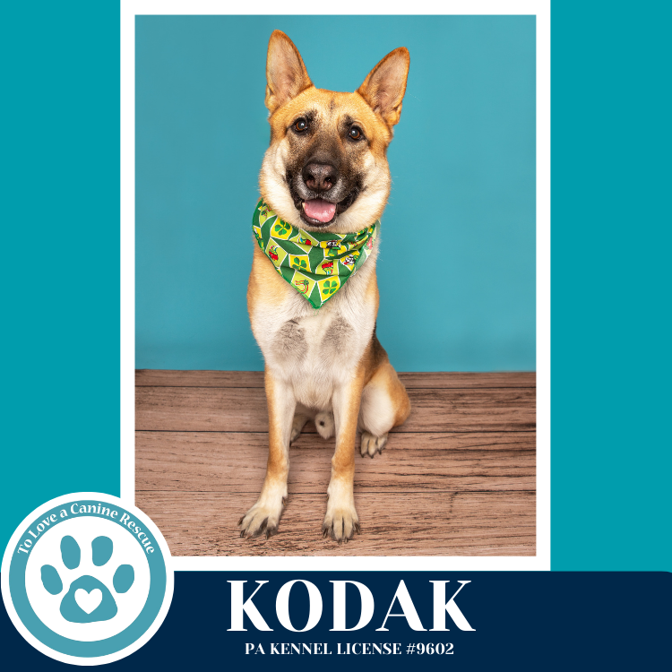 Kodak 022126