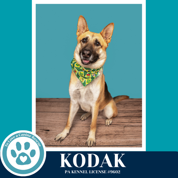 Kodak 022126