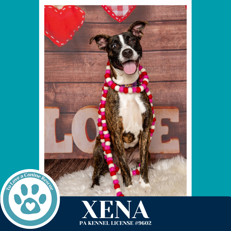 Xena (Cassandra's Fruit Family) 052425