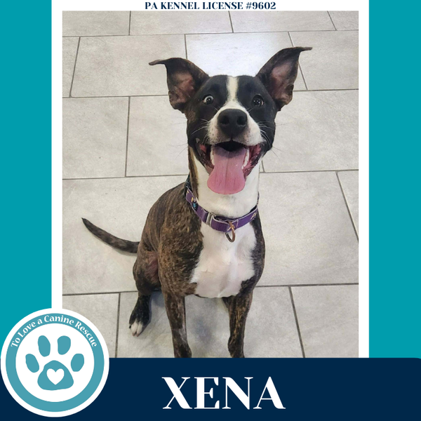 Xena (Cassandra's Fruit Family) 052425
