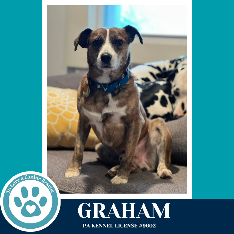 Graham 031426