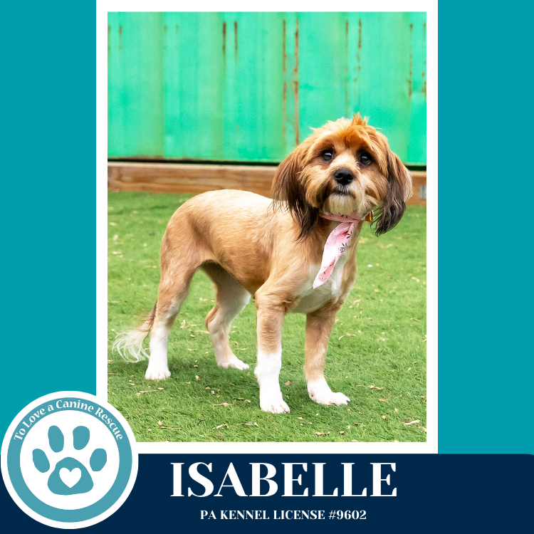 Isabelle (Beethoven's Classics) 032826