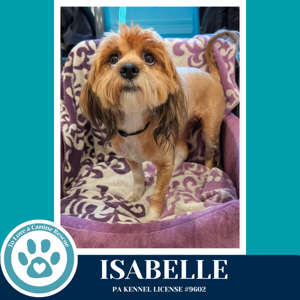Isabelle (Beethoven's Classics) 032826