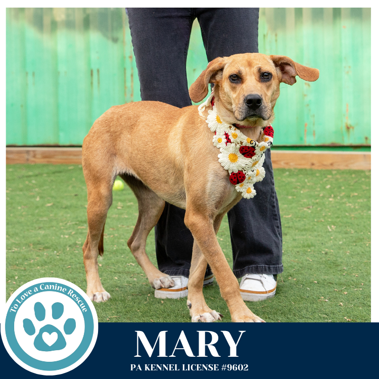 Mary 032826