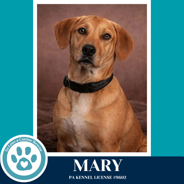 Mary 032826