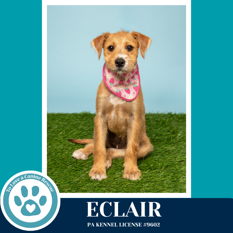 Eclair (The Bakery Bunch) 041126
