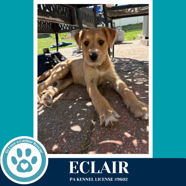 Eclair (The Bakery Bunch) 041126