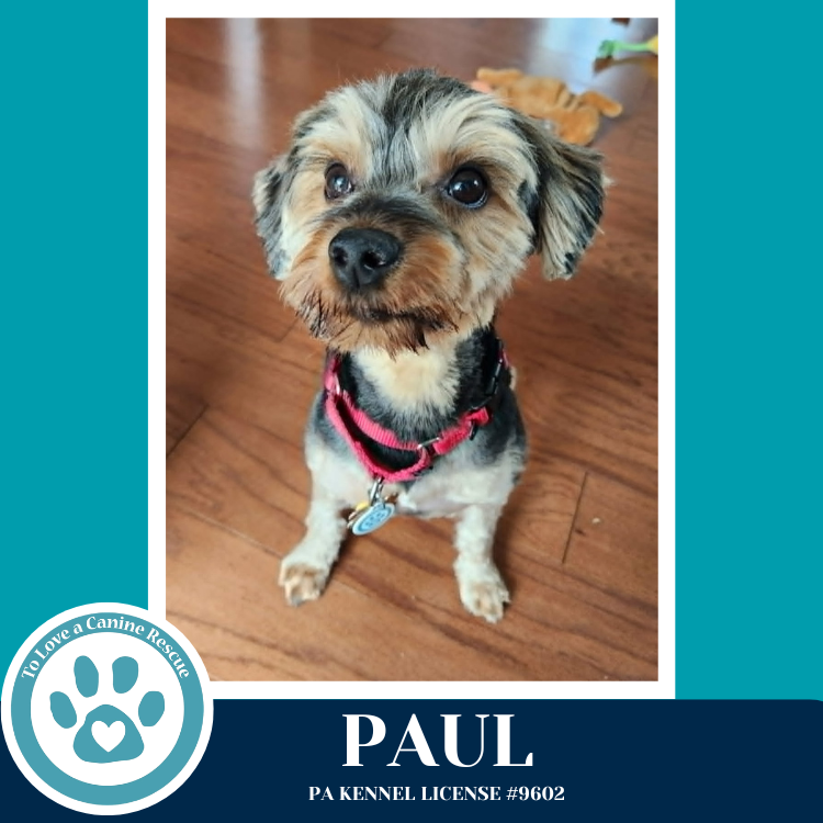 Paul 041126