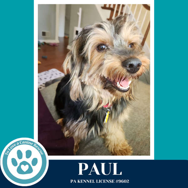 Paul 041126