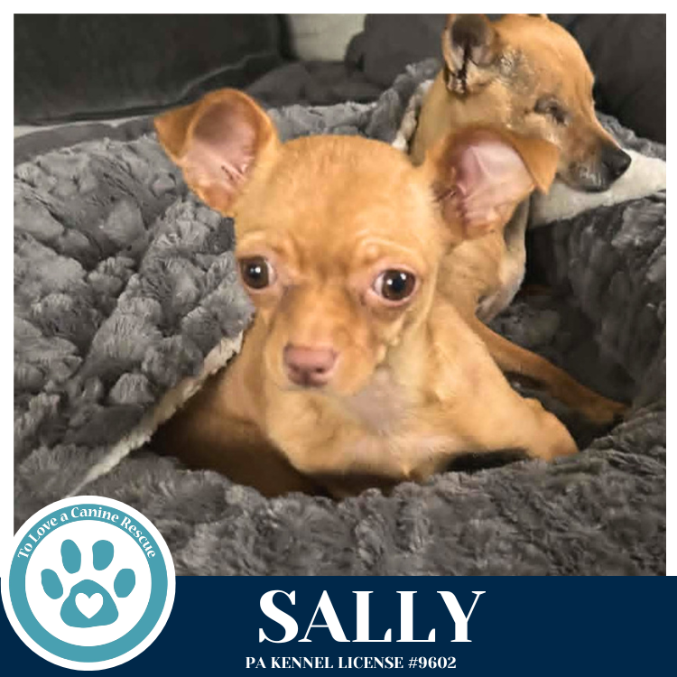 Sally 041826