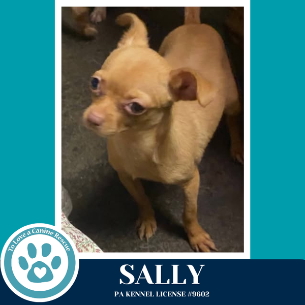 Sally 041826
