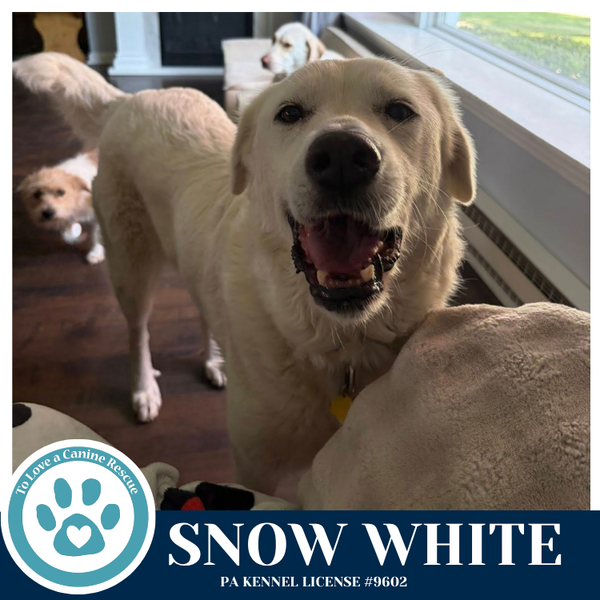 Snow White 041826