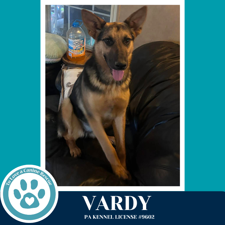 Vardy 041826