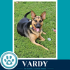 Vardy 041826 - Photo 1