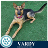 Vardy 041826 - Photo 3
