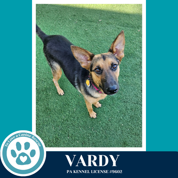 Vardy 041826