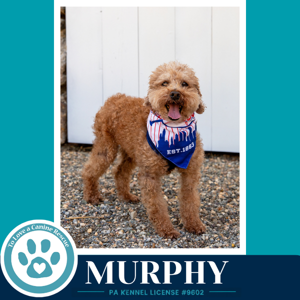 Murphy 042526