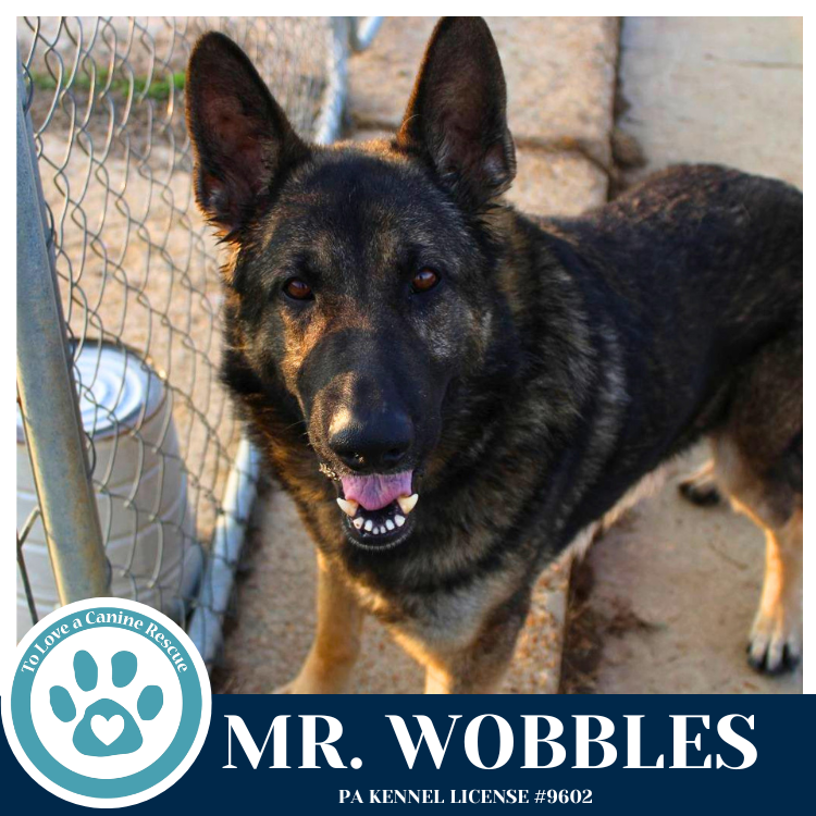 Mr. Wobbles 042526