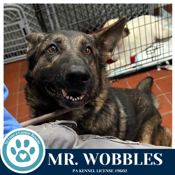 Mr. Wobbles 042526