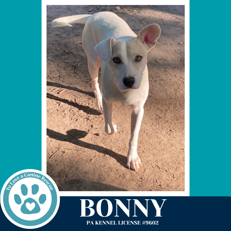 Bonny (Mom to the Bright Side Bunch) 042526