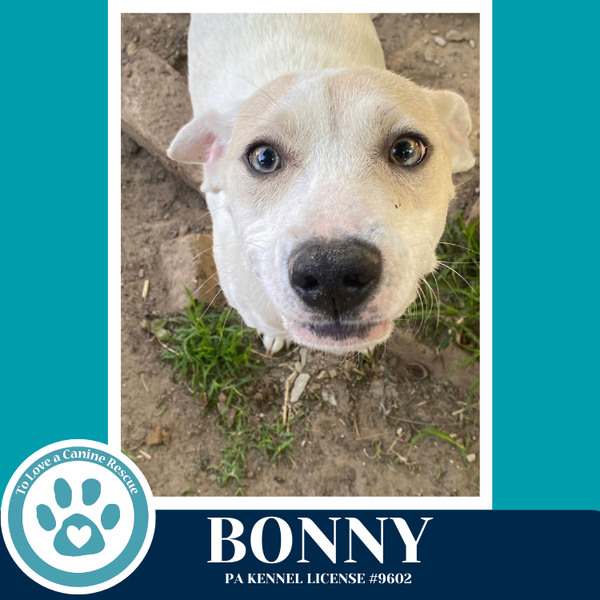 Bonny (Mom to the Bright Side Bunch) 042526