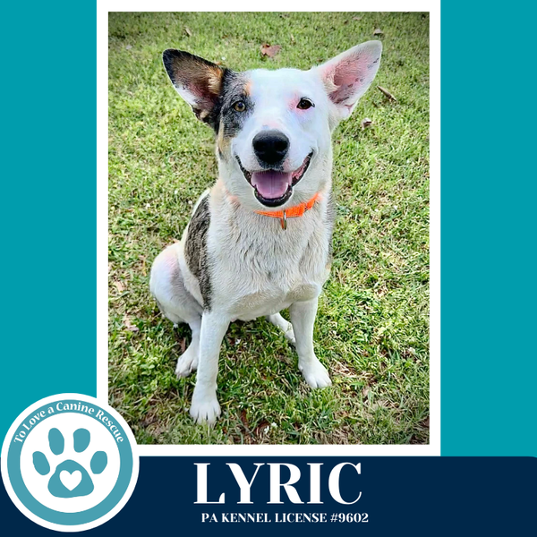 Lyric (Mom to Heavenly Duo) 042526