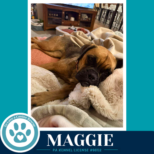 Maggie 050926
