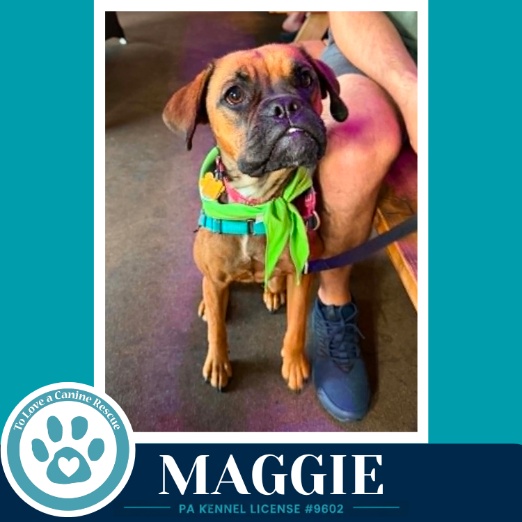 Maggie 050926