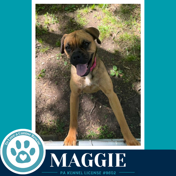 Maggie 050926