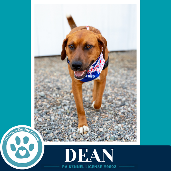 Dean 032126