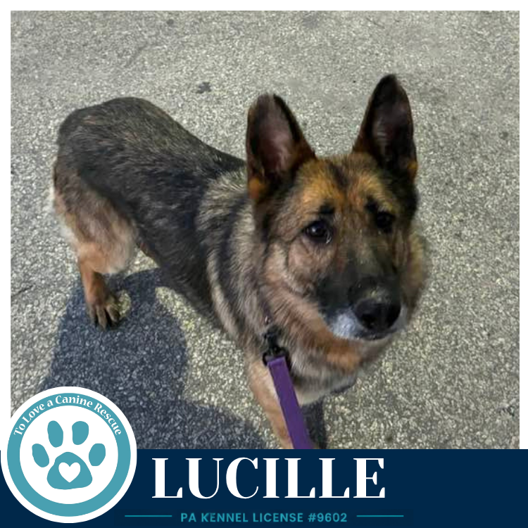 Lucille 051626