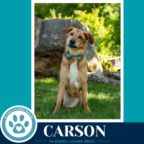 Carson Fka Bozo photo 2