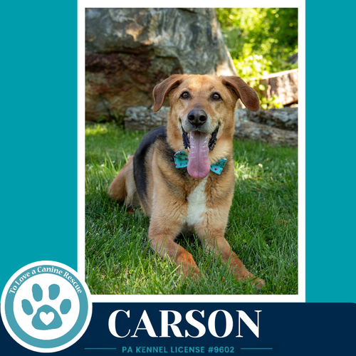 Carson Fka Bozo photo 3
