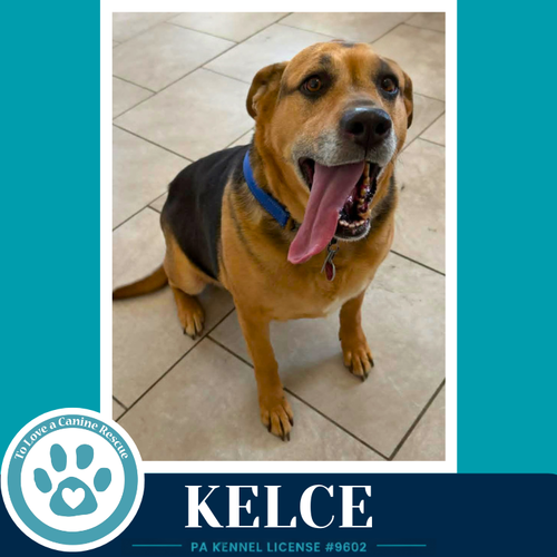 Kelce 052426