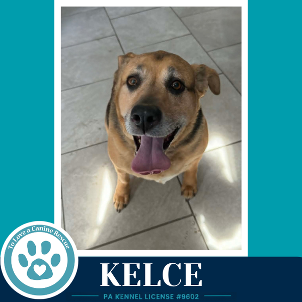 Kelce 052426