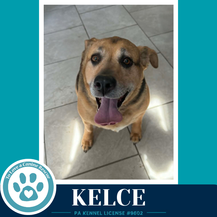 Kelce 052426