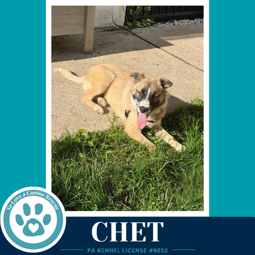 Chet 053026