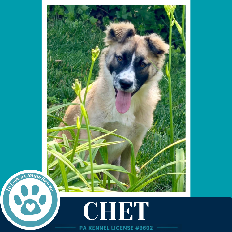 Chet 053026