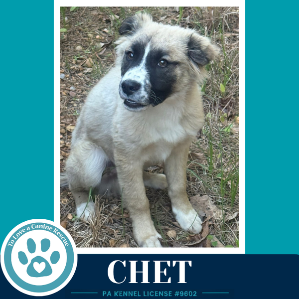 Chet 053026