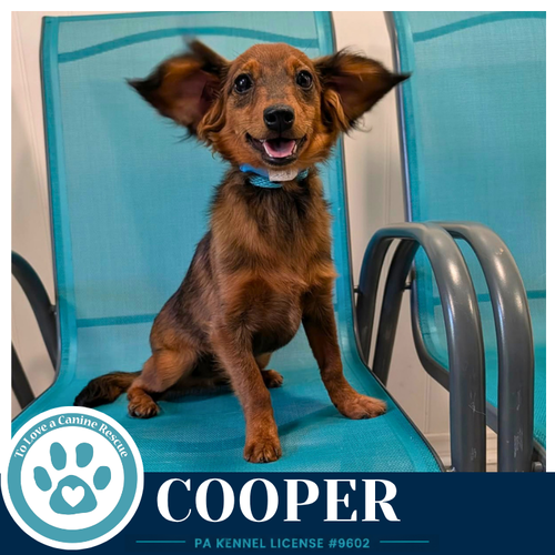Cooper 053026
