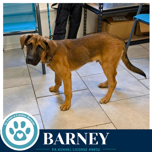 Barney 053026