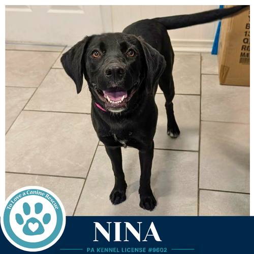 Nina 053026