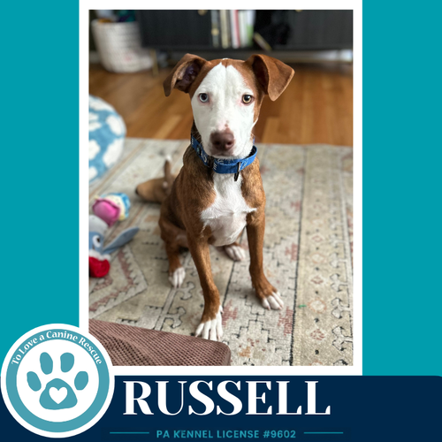 Russell 053026
